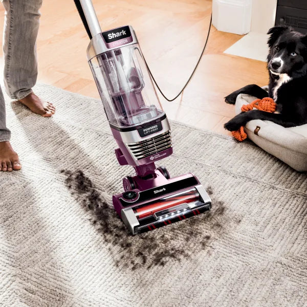 Shark Stratos™ Upright Vacuum with DuoClean® PowerFins™ HairPro™, Powered Lift-Away®, Self-Cleaning Brushroll, and Odor Neutralizer Technology AZ3000C - Refurbished